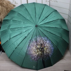 Жіноча зелена парасолька-автомат