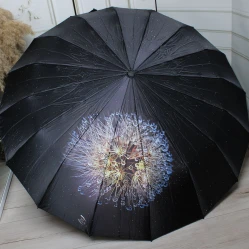 Класична чорна жіноча парасолька