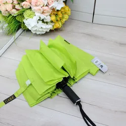 Парасоля автомат Fiaba салатного кольору 